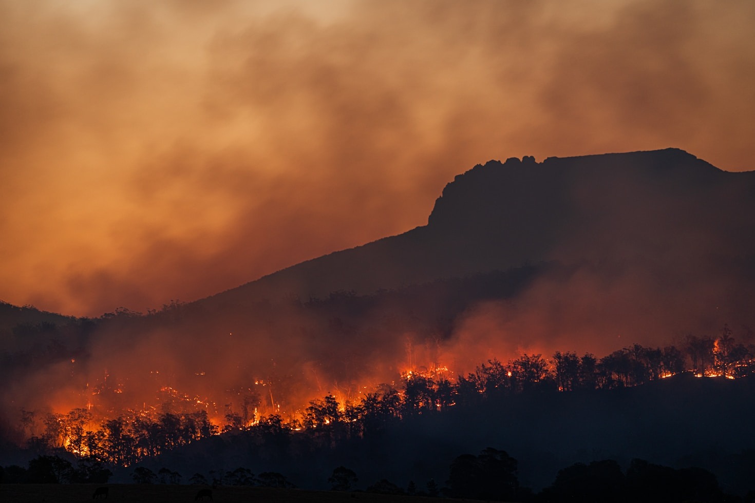 Il ruolo della trasparenza nel nostro impegno ambientale